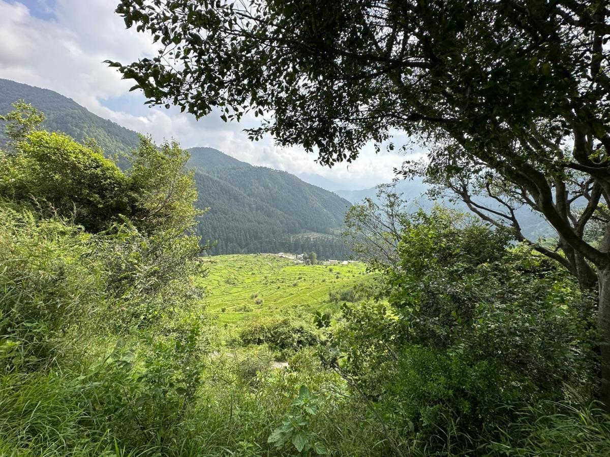 מוסורי Deodar Village Homestay Devalsari מראה חיצוני תמונה
