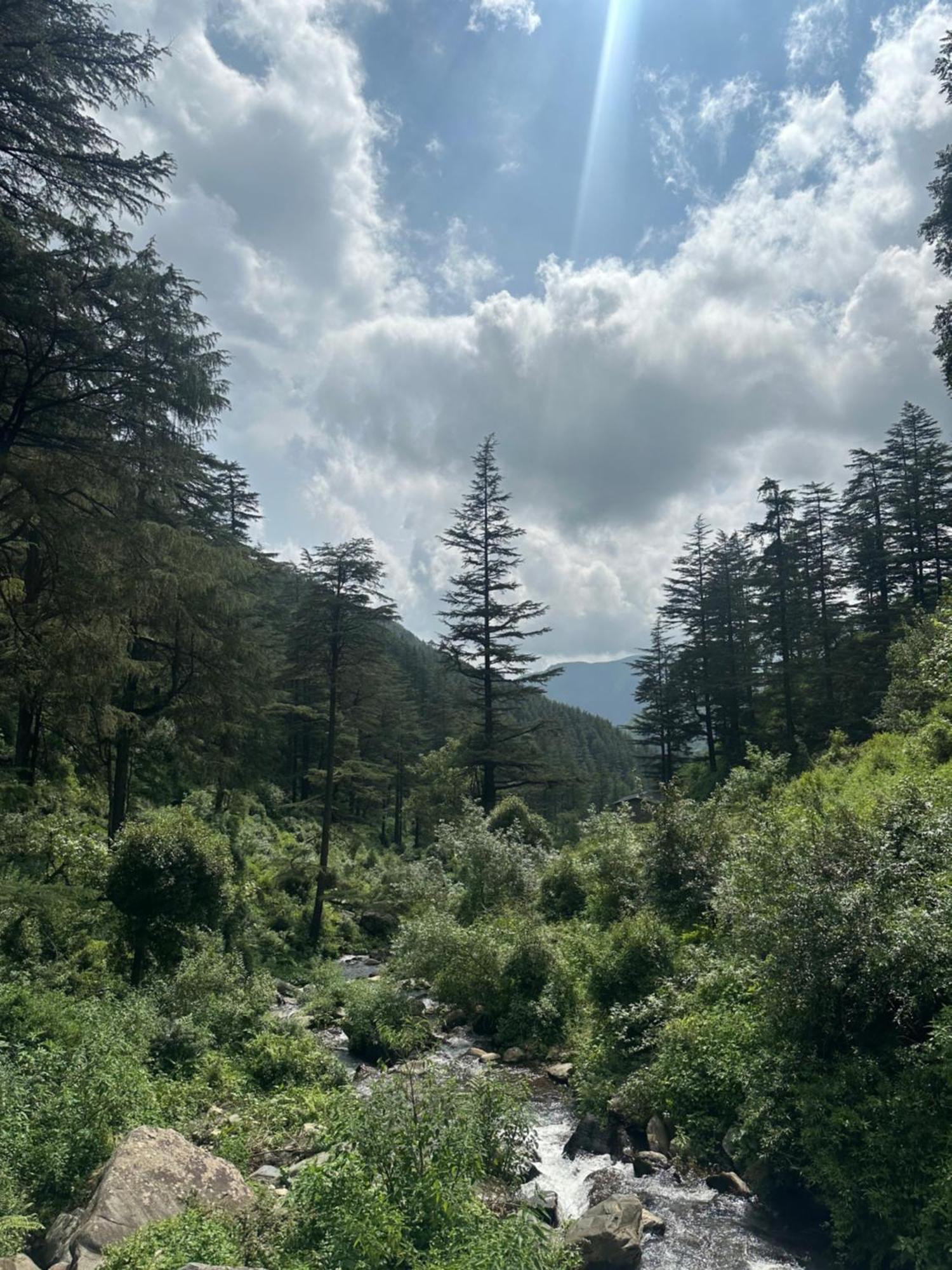 מוסורי Deodar Village Homestay Devalsari מראה חיצוני תמונה