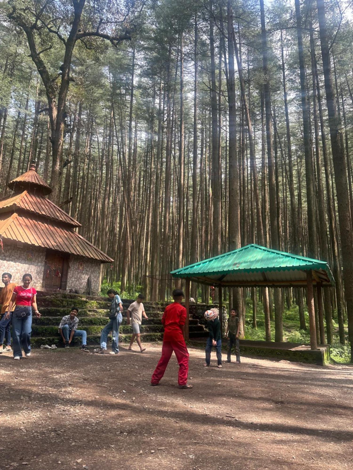 מוסורי Deodar Village Homestay Devalsari מראה חיצוני תמונה