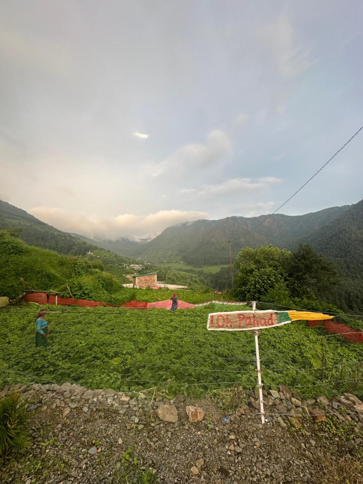 מוסורי Deodar Village Homestay Devalsari מראה חיצוני תמונה