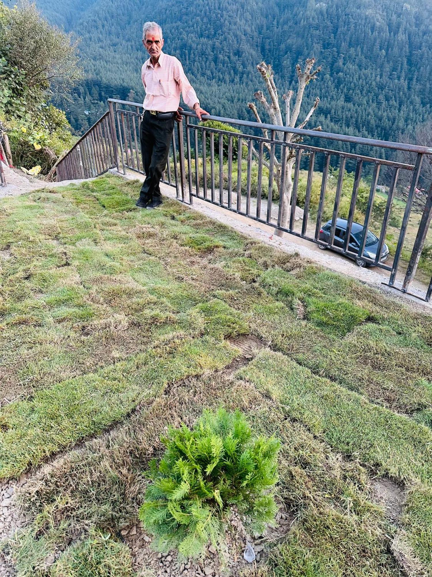 מוסורי Deodar Village Homestay Devalsari מראה חיצוני תמונה